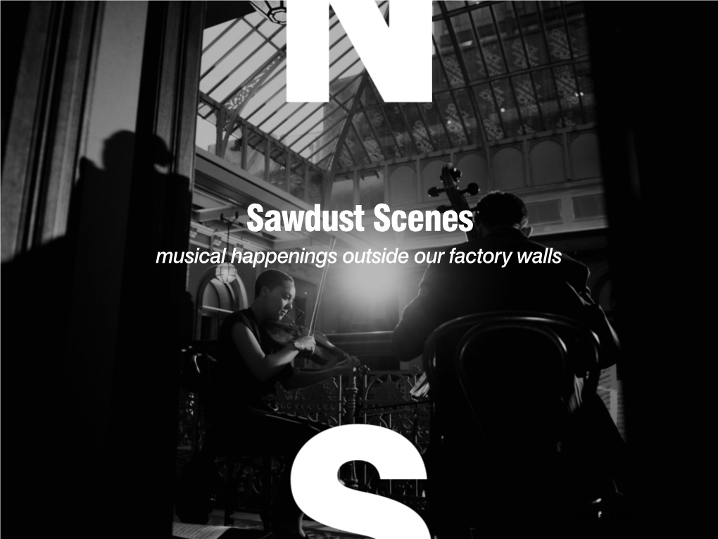 National Sawdust Sawdustscenes