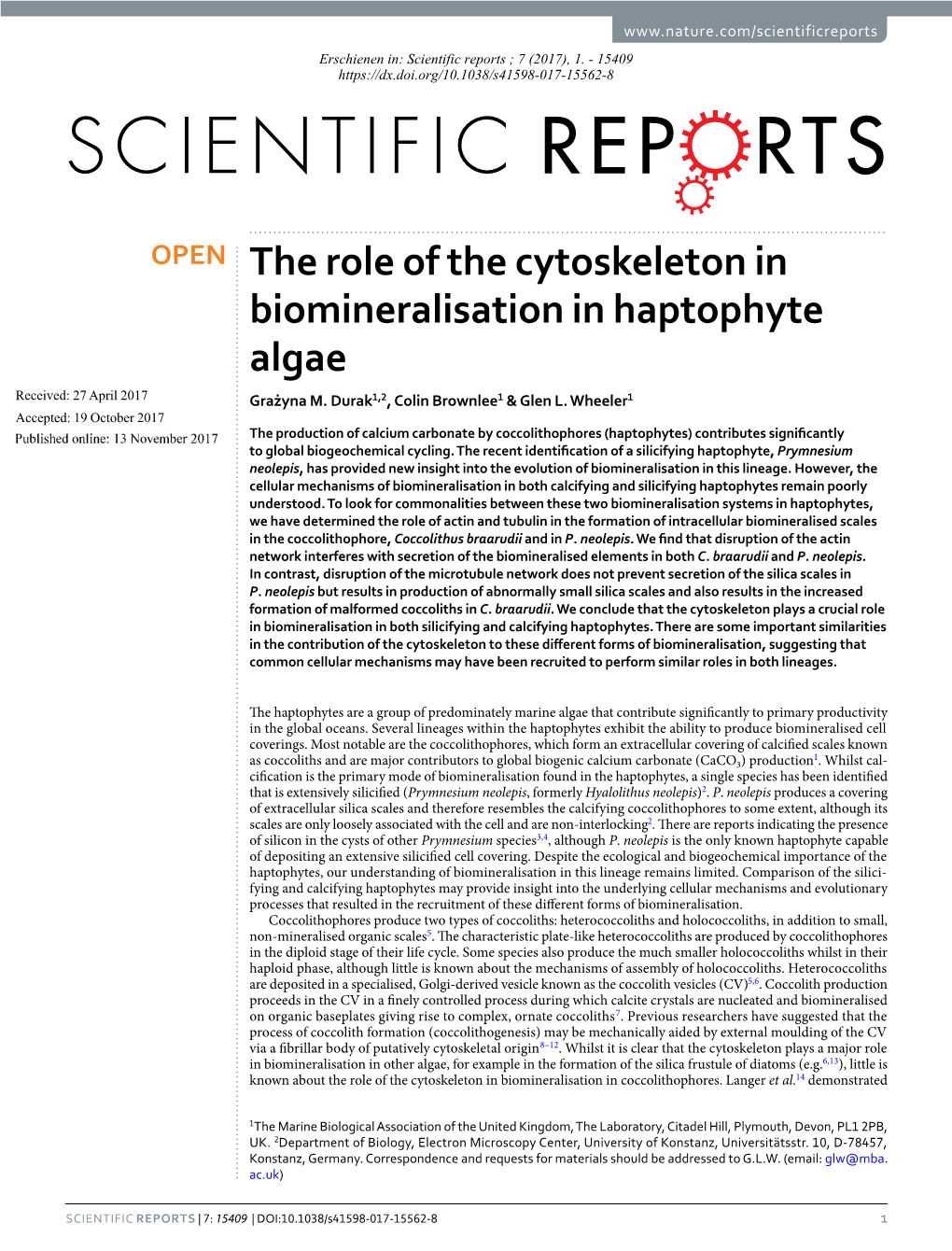 The Role of the Cytoskeleton in Biomineralisation in Haptophyte Algae Received: 27 April 2017 Grażyna M