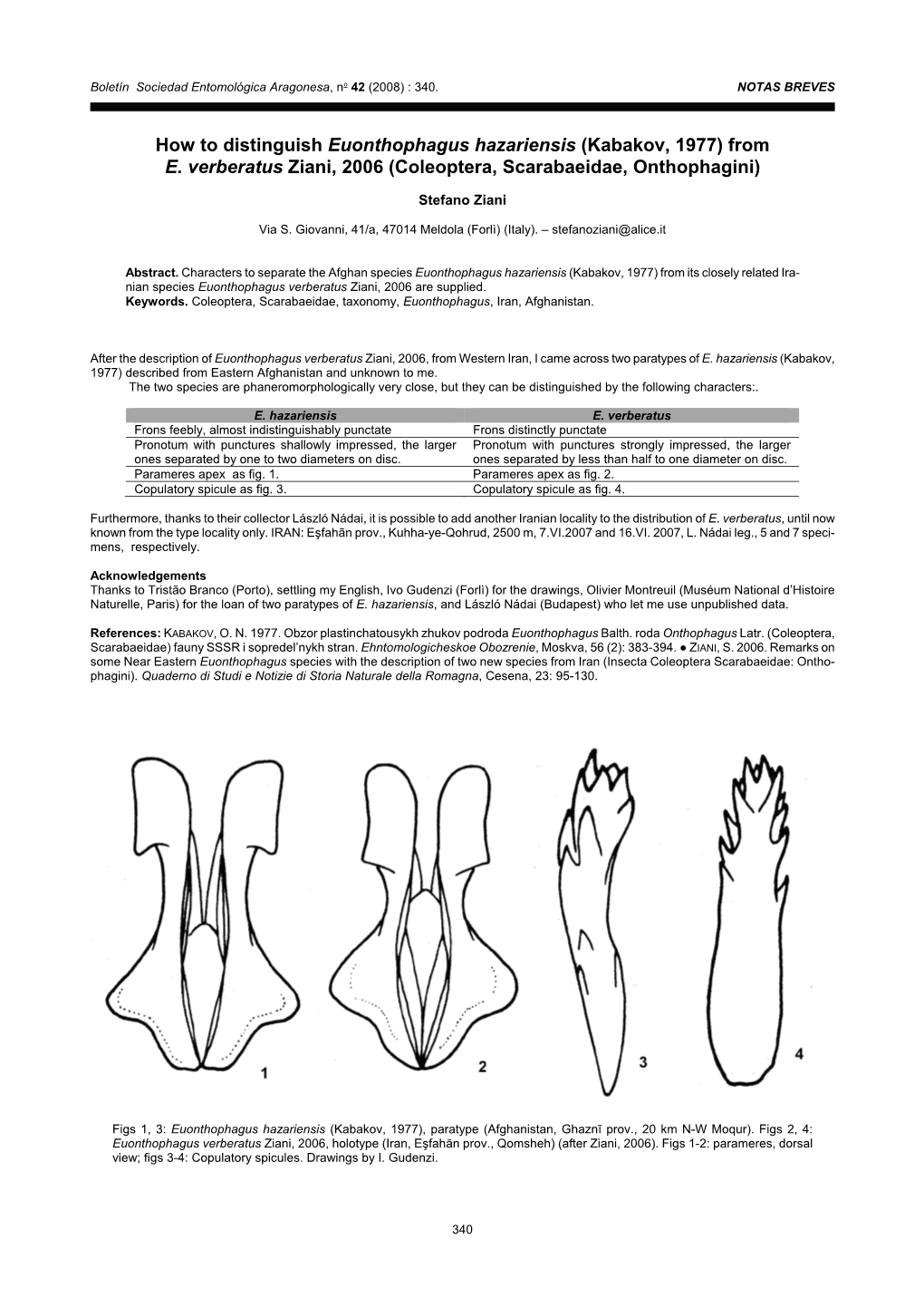 How to Distinguish Euonthophagus Hazariensis (Kabakov, 1977) from E