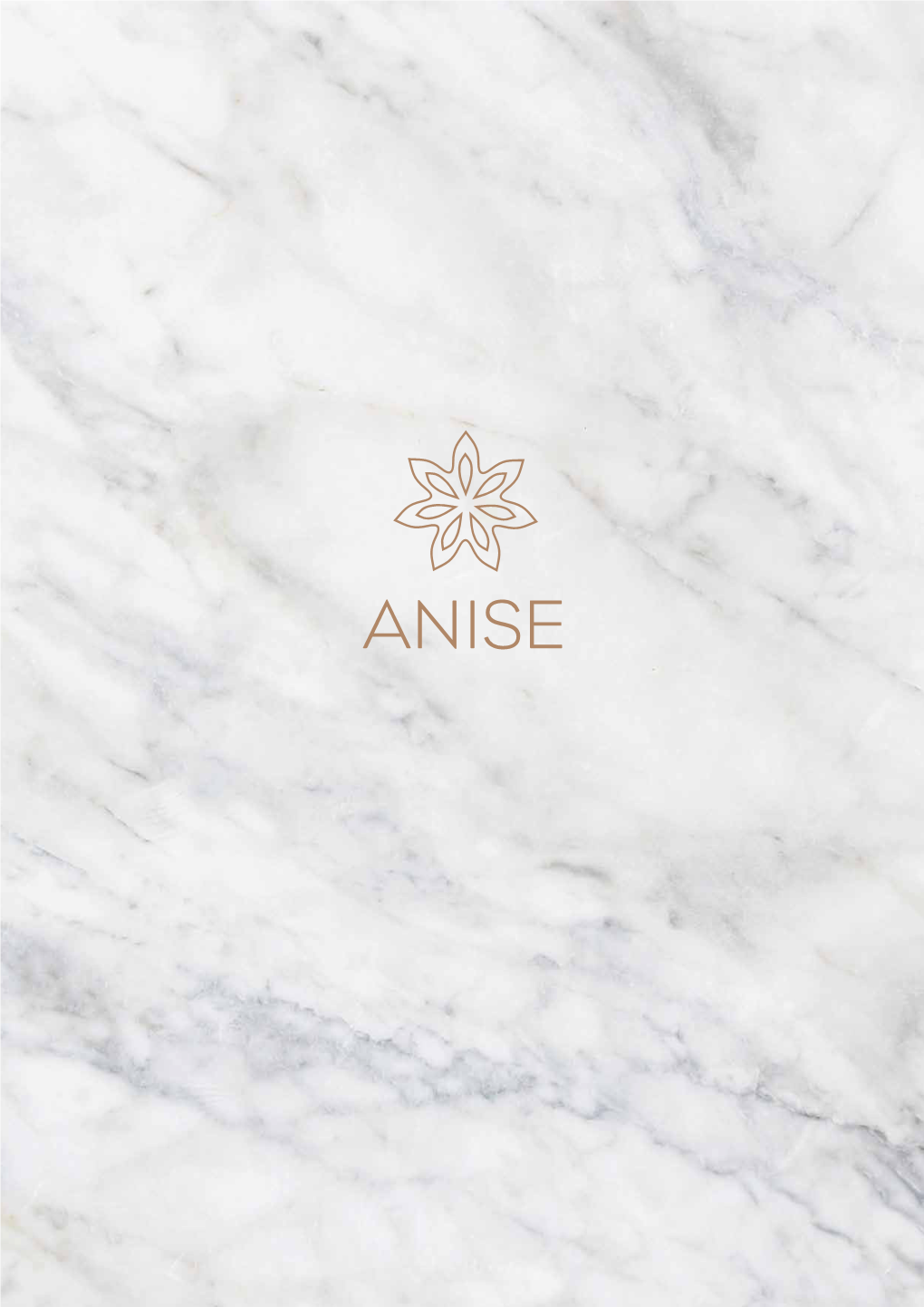 ANISE Bar-Menu.Pdf