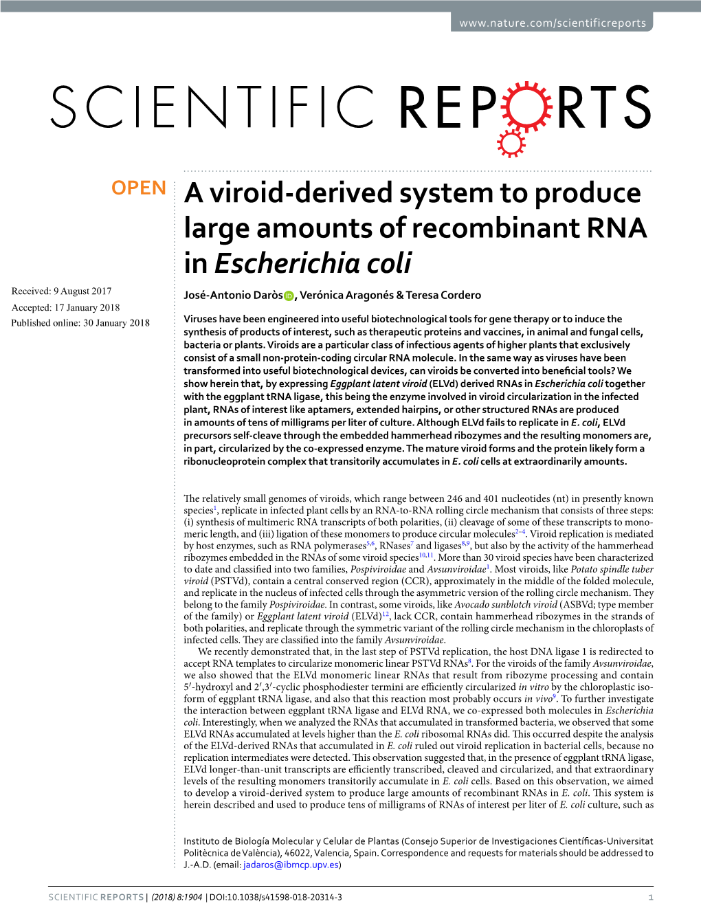 A Viroid-Derived System to Produce Large Amounts of Recombinant RNA