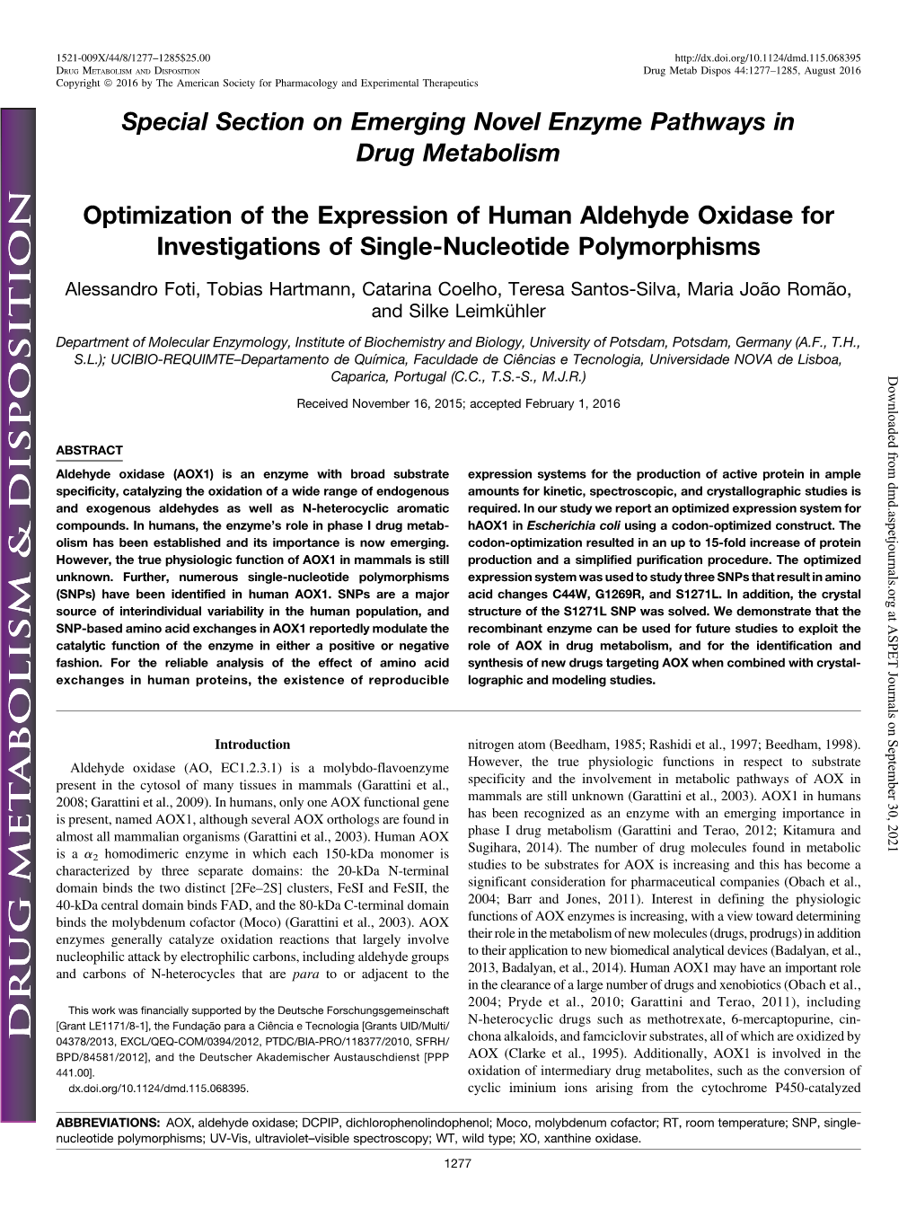 Optimization of the Expression of Human Aldehyde Oxidase for Investigations of Single-Nucleotide Polymorphisms