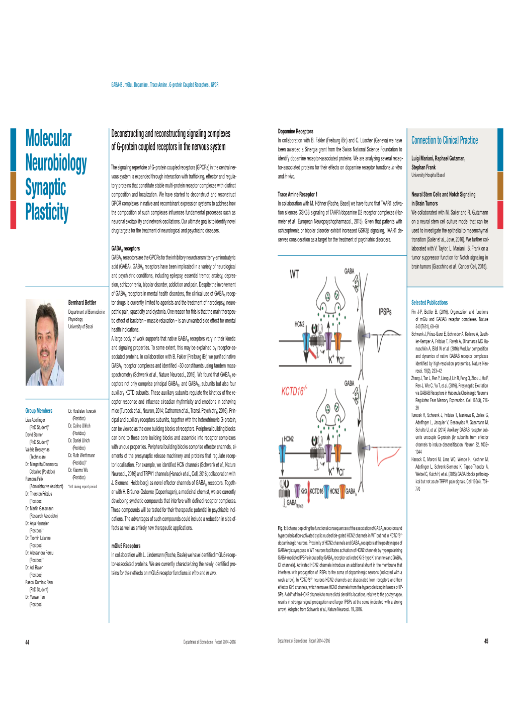 Molecular Neurobiology Synaptic Plasticity