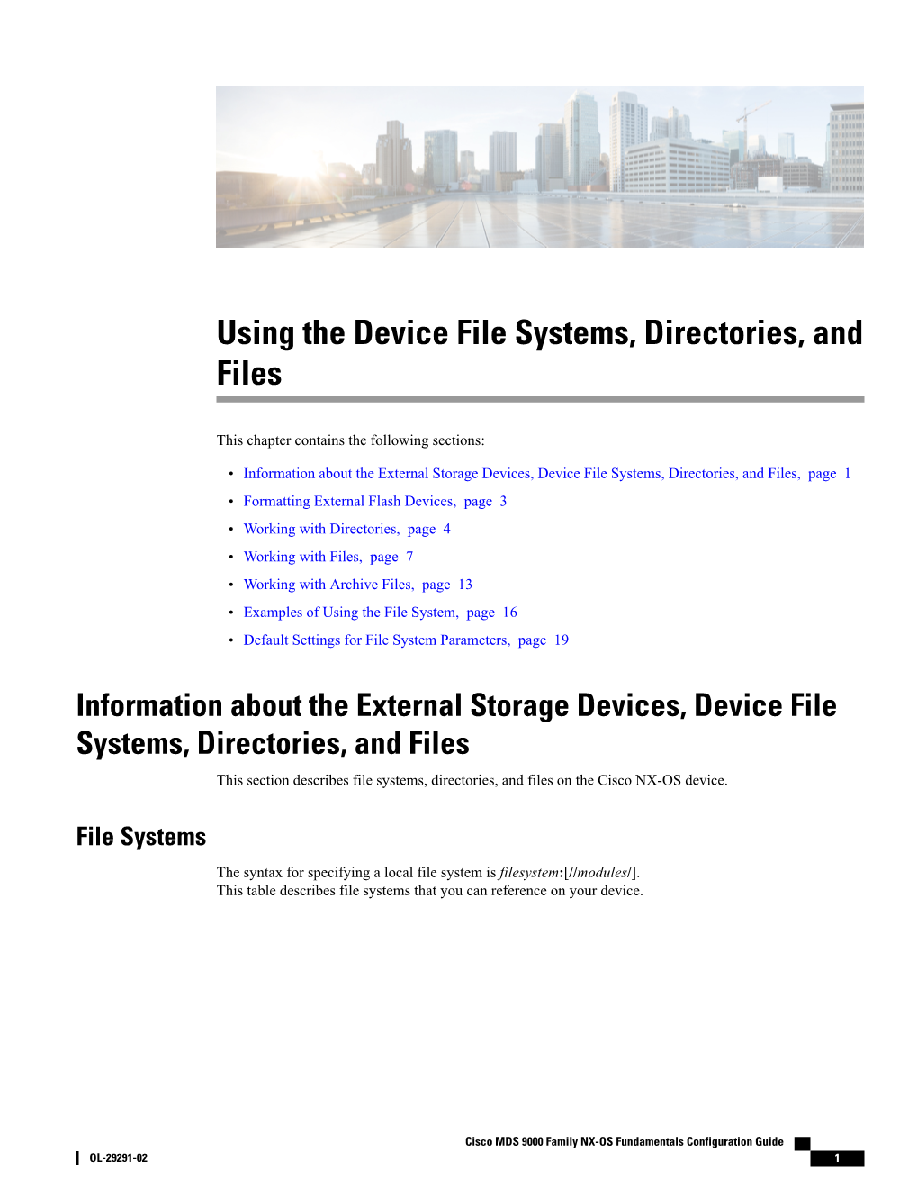 Using the Device File Systems, Directories, and Files