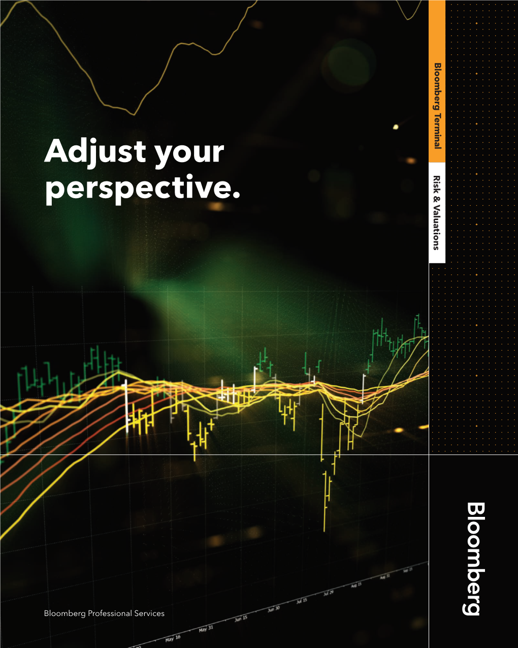 Adjust Your Perspective. Valuations & Risk