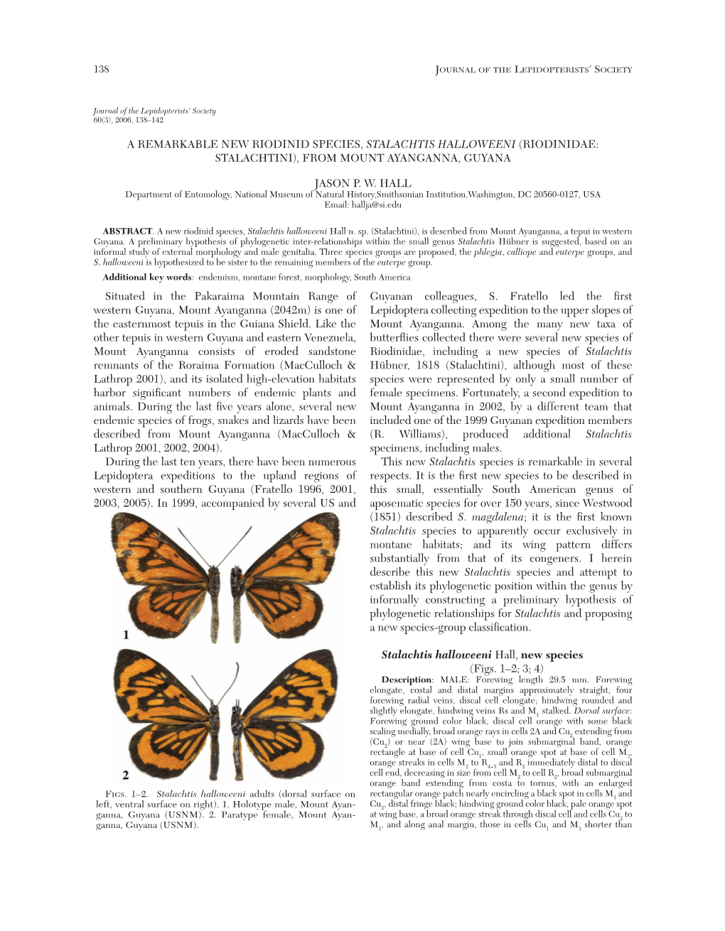 A Remarkable New Riodinid Species, Stalachtis Halloweeni (Riodinidae: Stalachtini), from Mount Ayanganna, Guyana Jason P. W