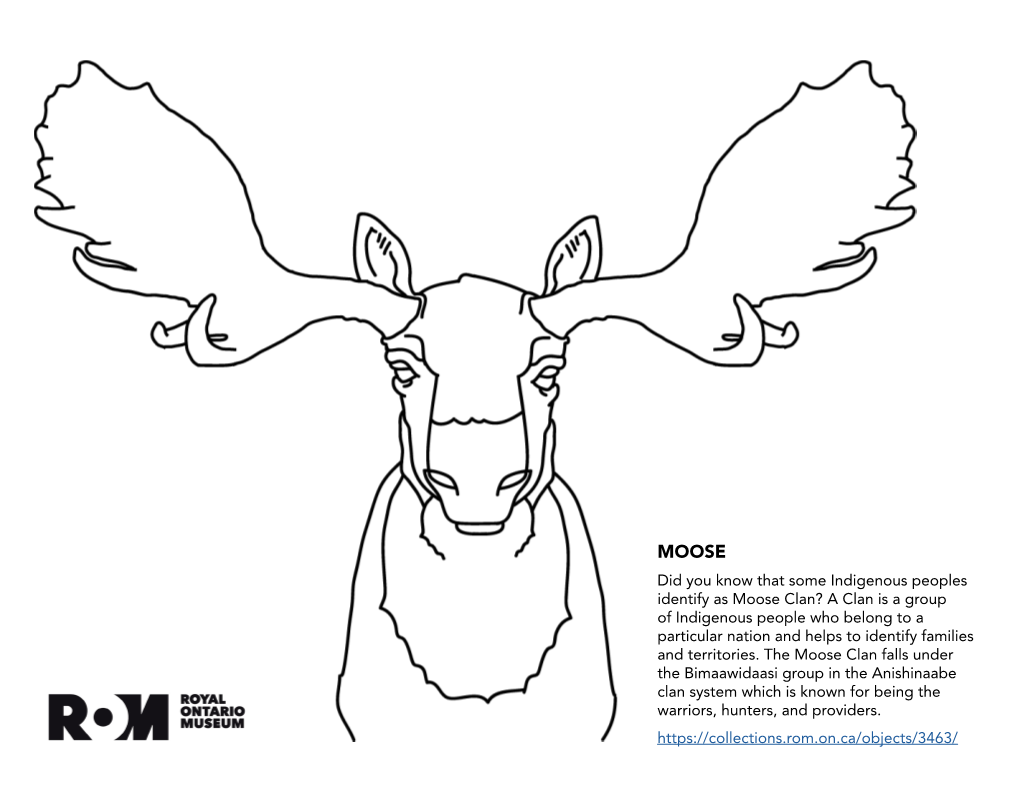 Did You Know That Some Indigenous Peoples Identify As Moose Clan?