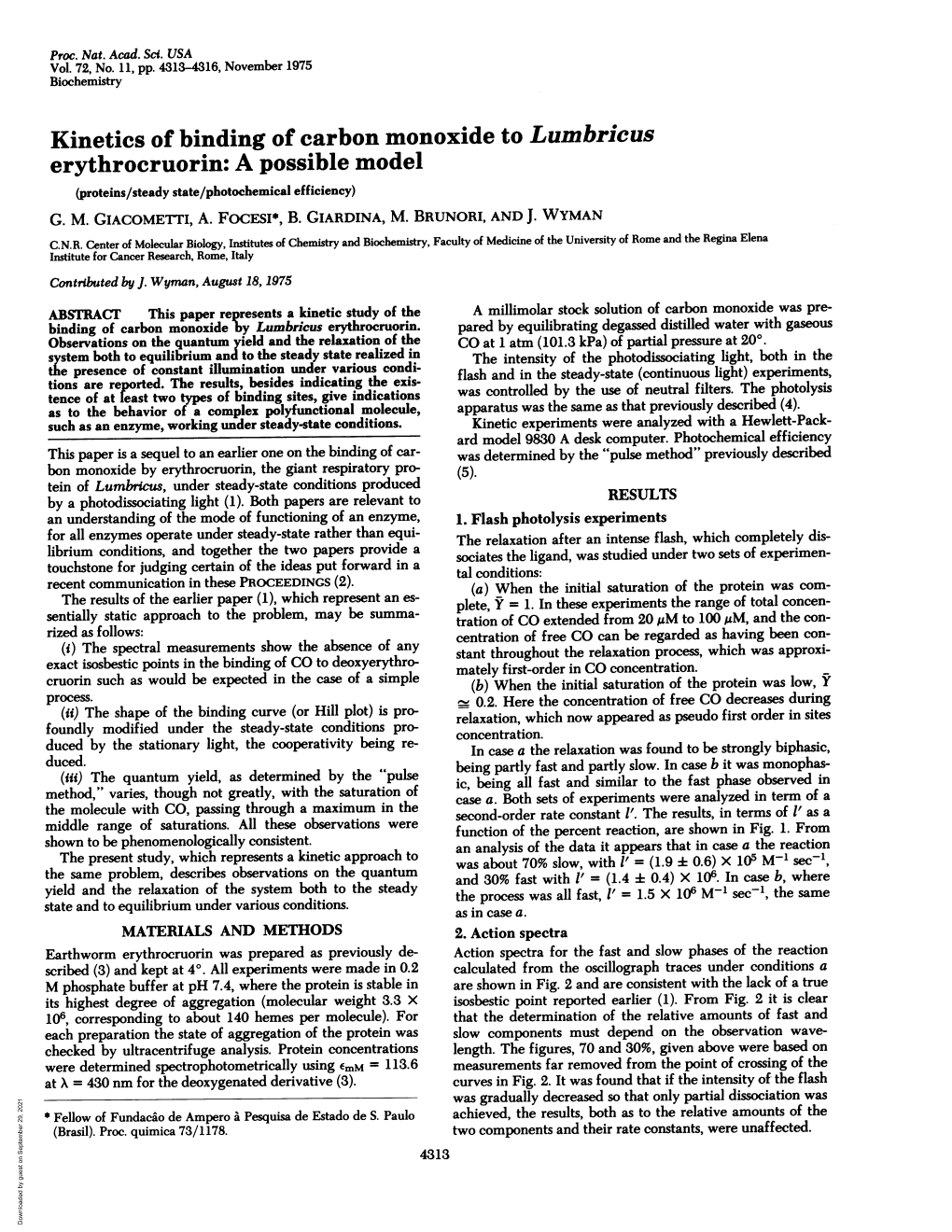 Erythrocruorin: a Possible Model (Proteins/Steady State/Photochemical Efficiency) G