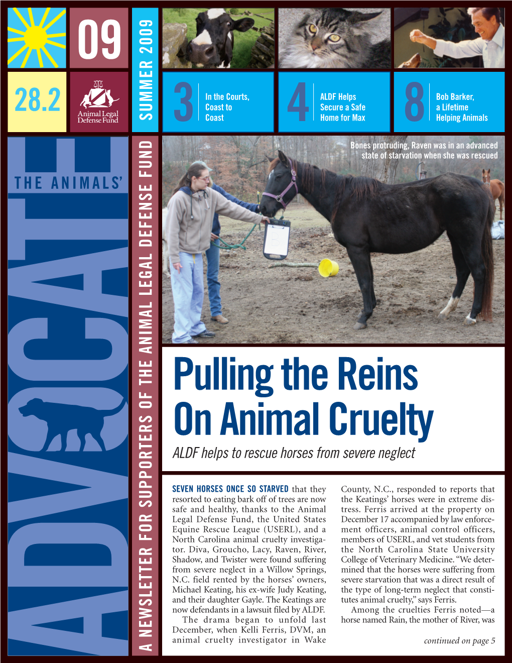 Pulling the Reins on Animal Cruelty ALDF Helps to Rescue Horses from Severe Neglect