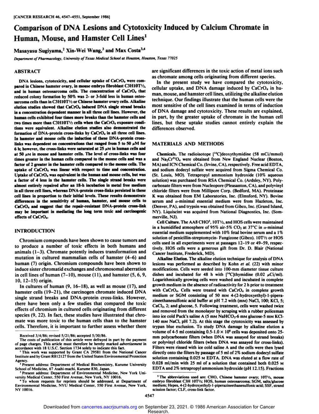 Comparison of DNA Lesions and Cytotoxicity Induced by Calcium Chromate in Human, Mouse, and Hamster Cell Lines1