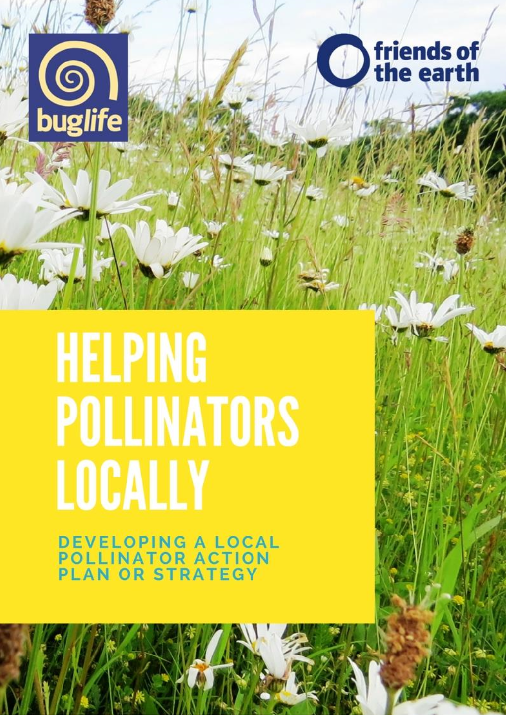 Helping Pollinators Locally