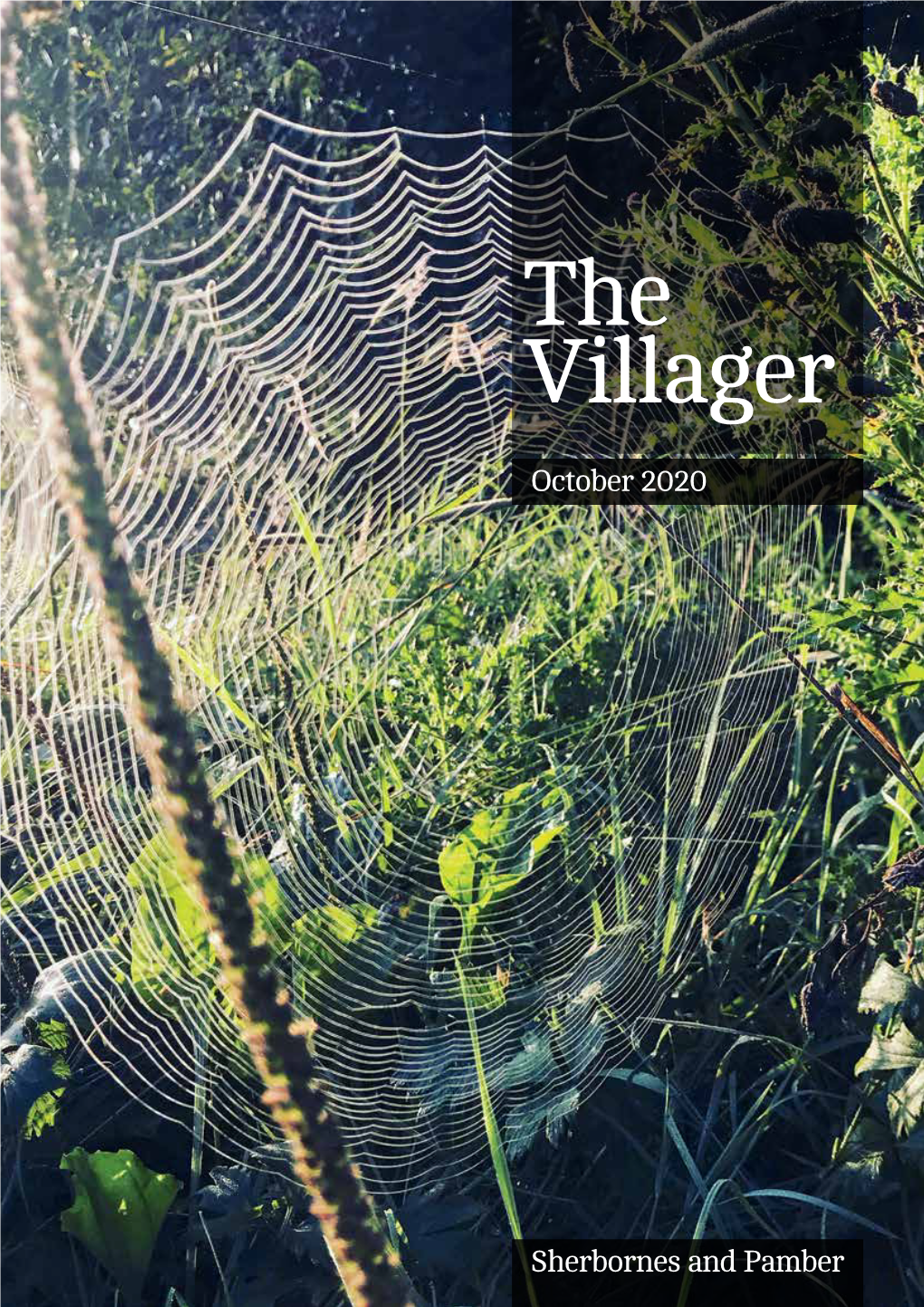 The Villager