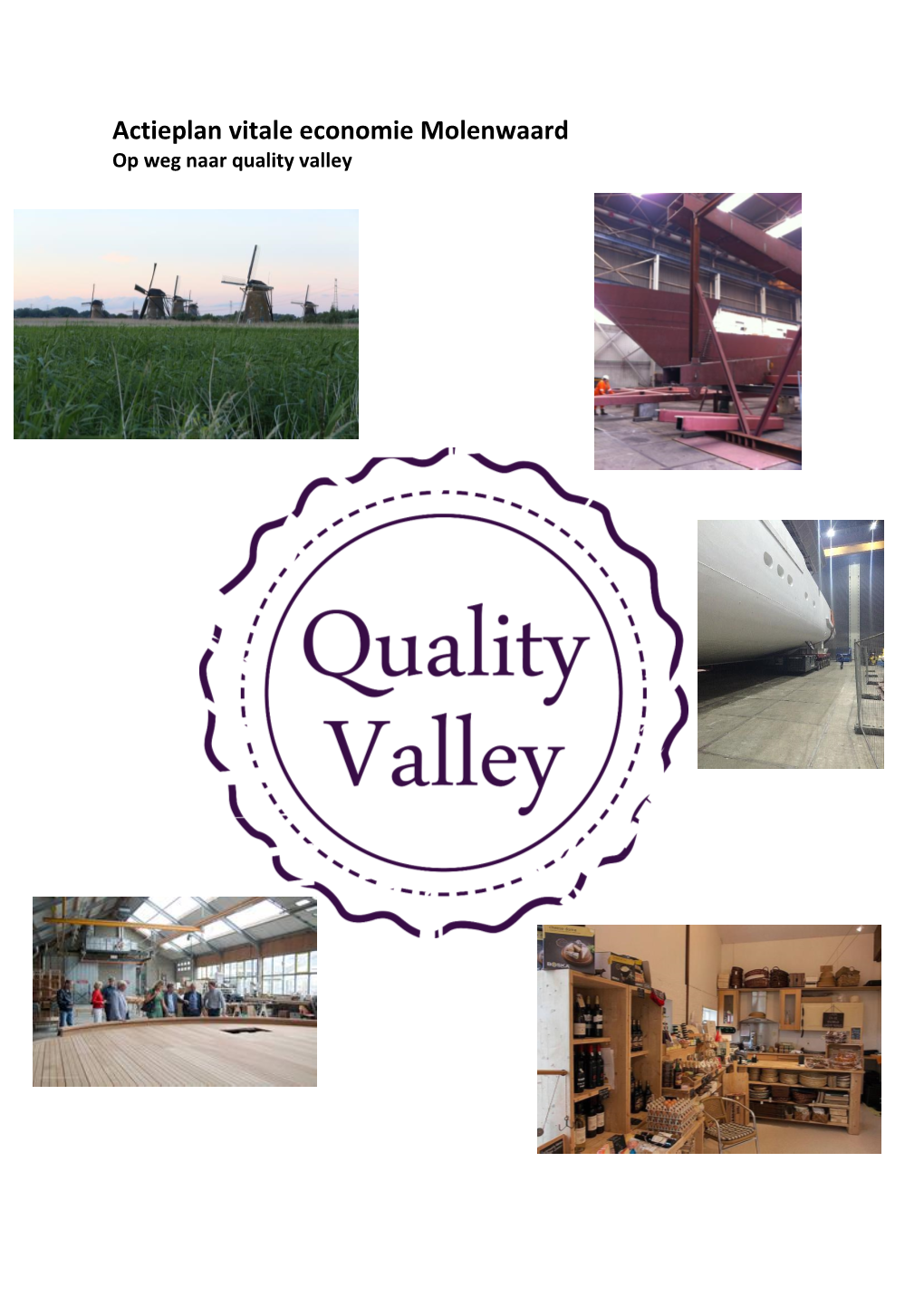 Actieplan Vitale Economie Molenwaard Op Weg Naar Quality Valley
