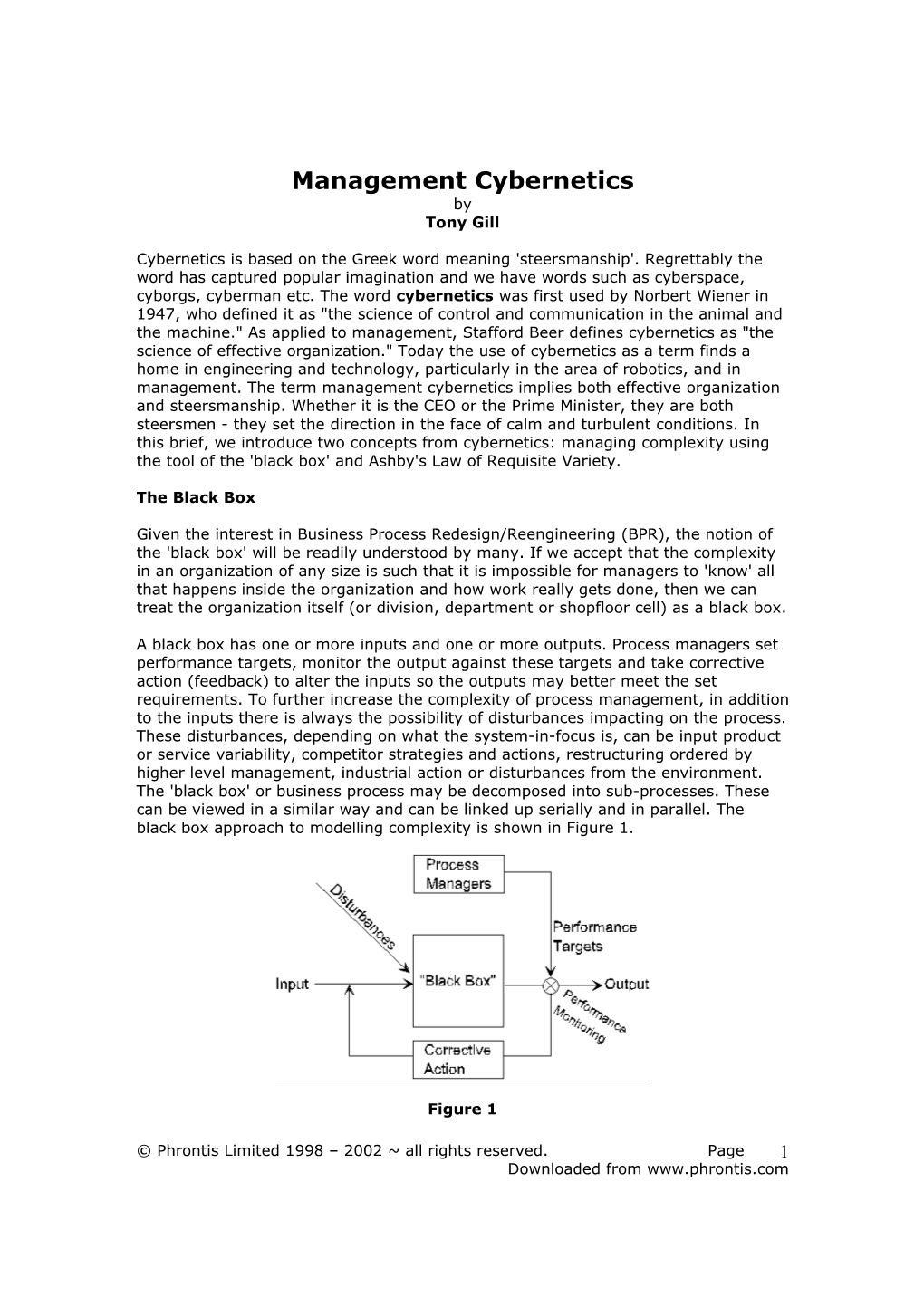 Management Cybernetics by Tony Gill