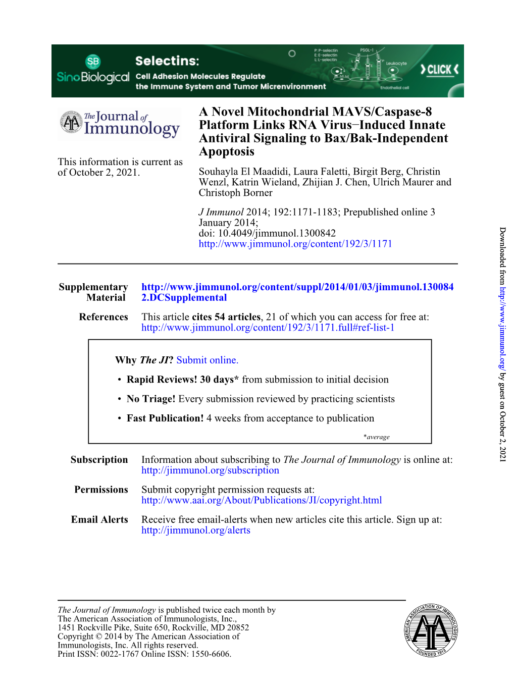 Apoptosis Antiviral Signaling to Bax/Bak-Independent Induced Innate