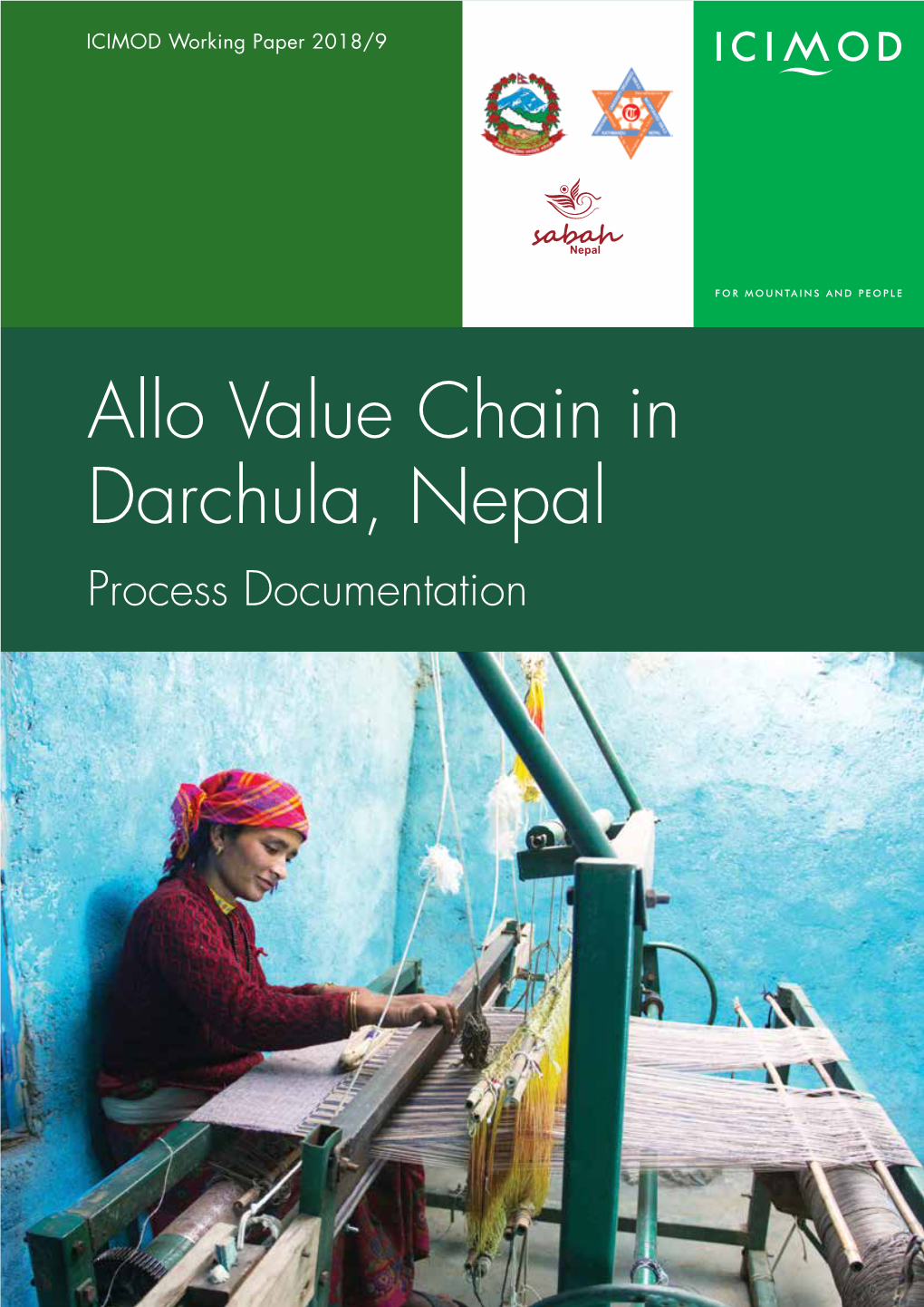 Allo Value Chain in Darchula, Nepal Process Documentation