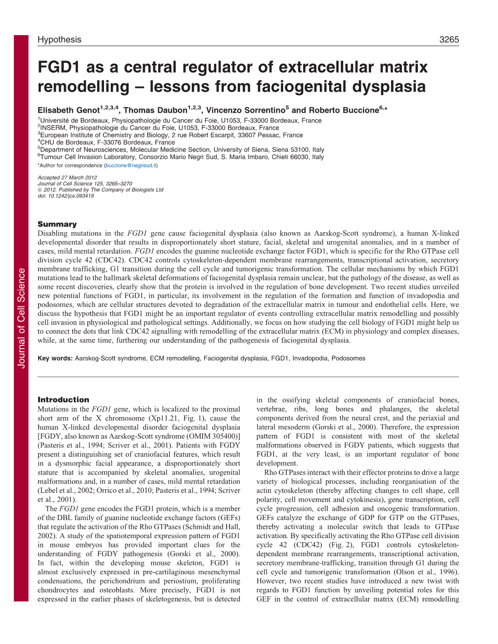 FGD1 As a Central Regulator of Extracellular Matrix Remodelling