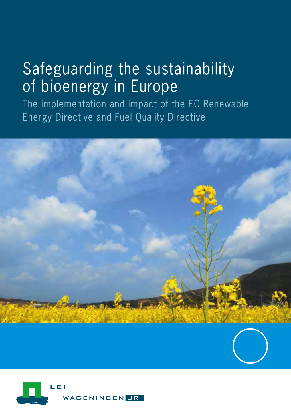 2012-057 Safeguarding the Sustainability of Bioenergy In
