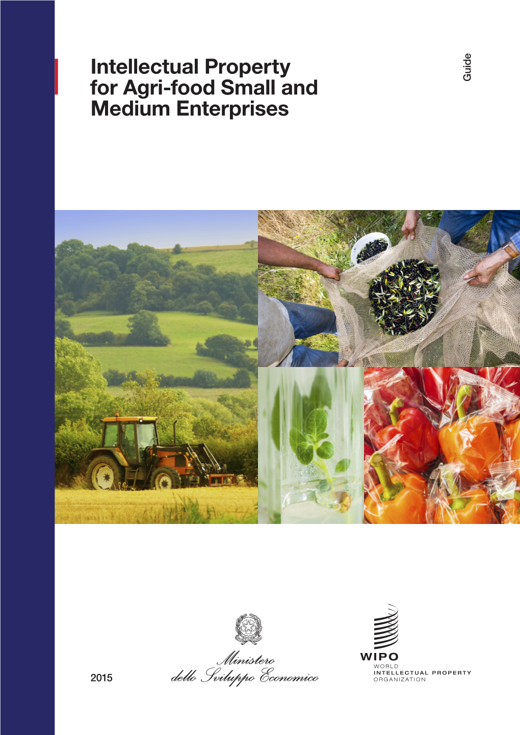 Intellectual Property for Agri-Food Small and Medium Enterprises 2015 for Agri-Food and Small 2015 Intellectual Property Property Intellectual Medium Enterprises