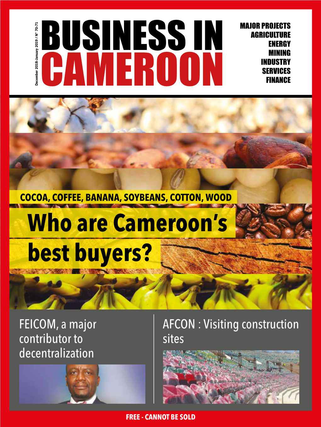 Who Are Cameroon's Best Buyers?