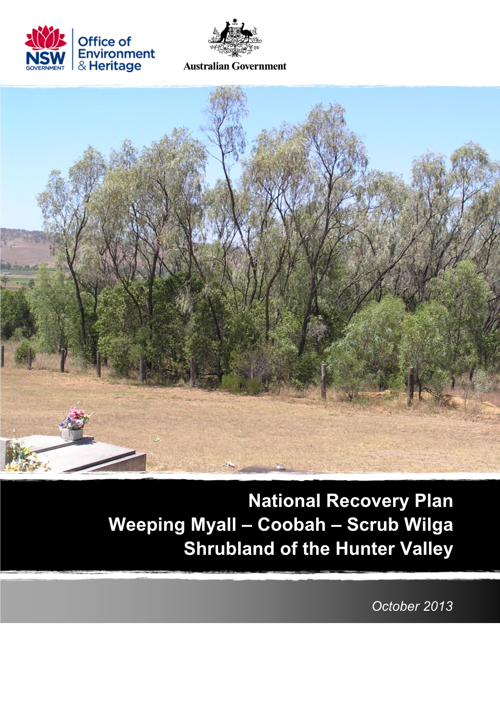 National Recovery Plan Weeping Myall – Coobah – Scrub Wilga Shrubland of the Hunter Valley