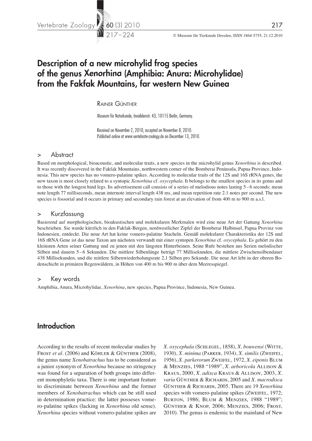 Description of a New Microhylid Frog Species of the Genus Xenorhina (Amphibia: Anura: Microhylidae) from the Fakfak Mountains, Far Western New Guinea