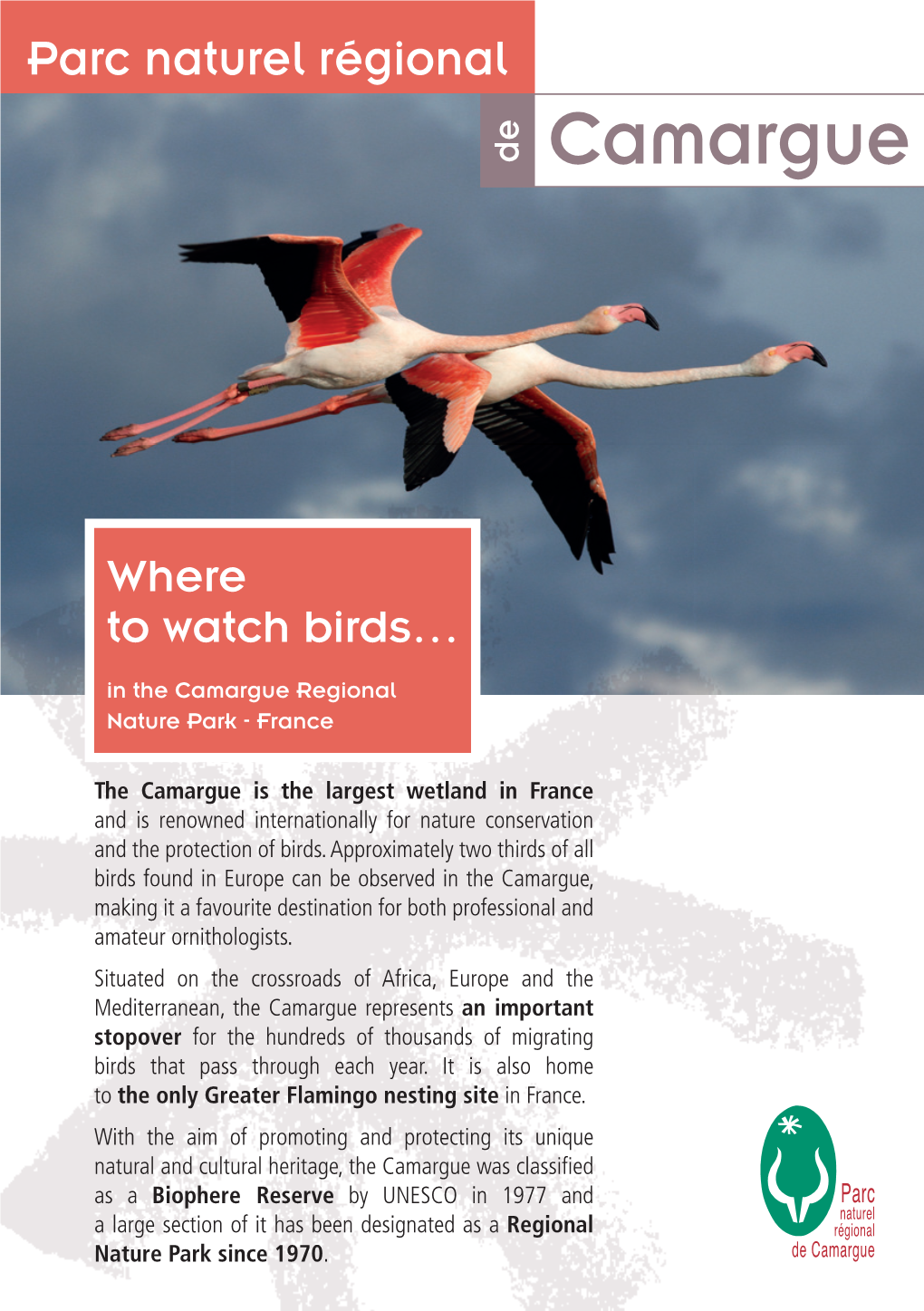 Where to Watch Birds in Camargue