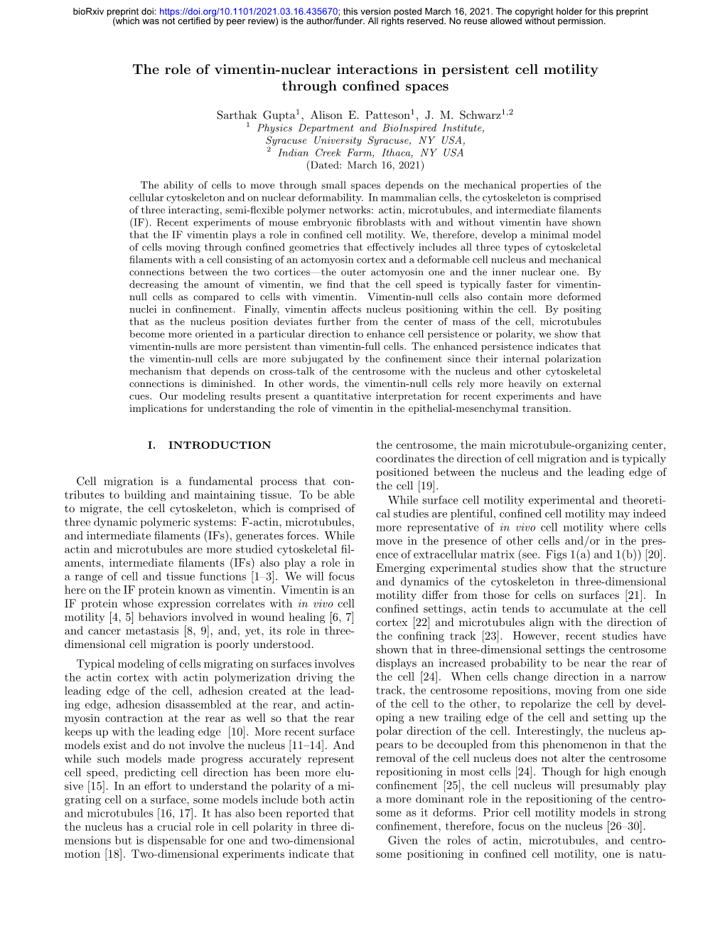 The Role of Vimentin-Nuclear Interactions in Persistent Cell Motility Through Conﬁned Spaces