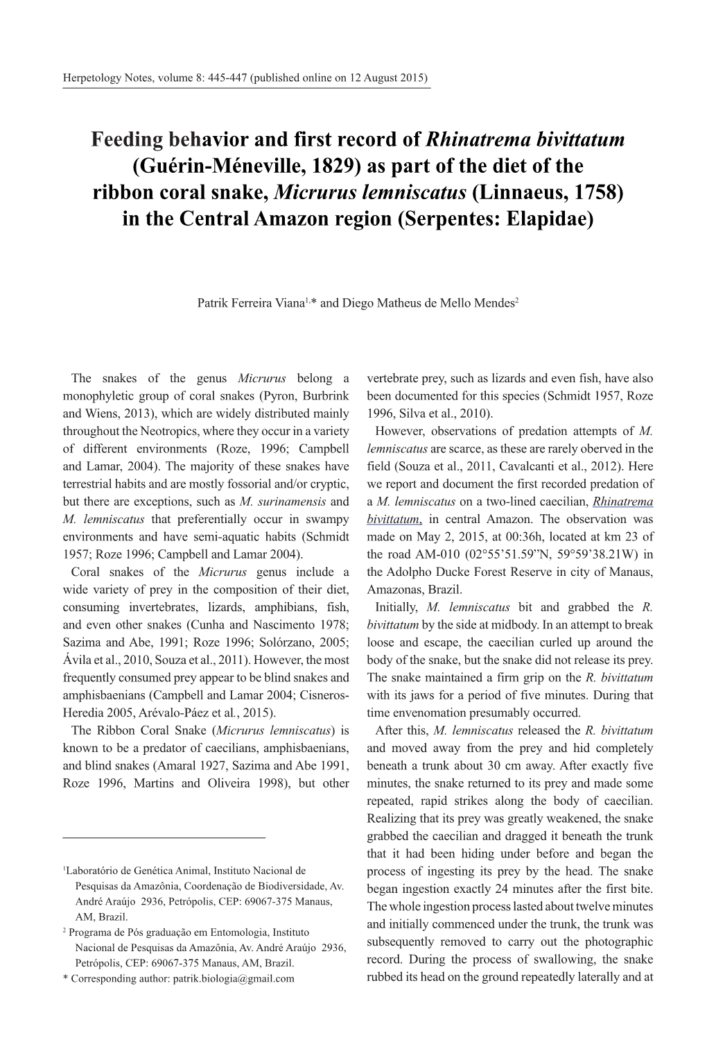 Feeding Behavior and First Record of Rhinatrema Bivittatum