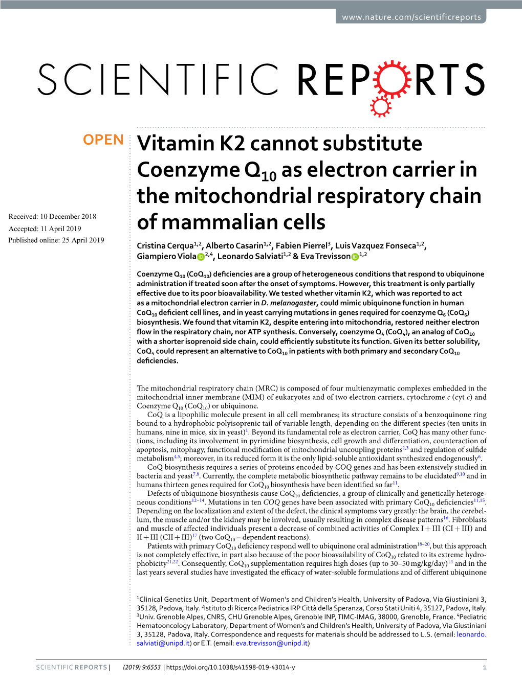 Vitamin K2 Cannot Substitute Coenzyme Q10 As Electron Carrier