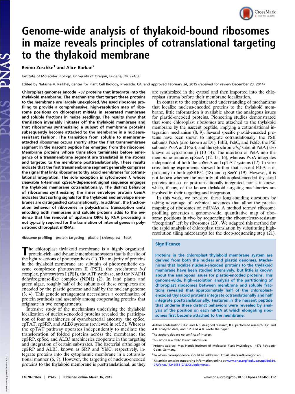 Genome-Wide Analysis of Thylakoid-Bound Ribosomes in Maize Reveals Principles of Cotranslational Targeting to the Thylakoid Membrane