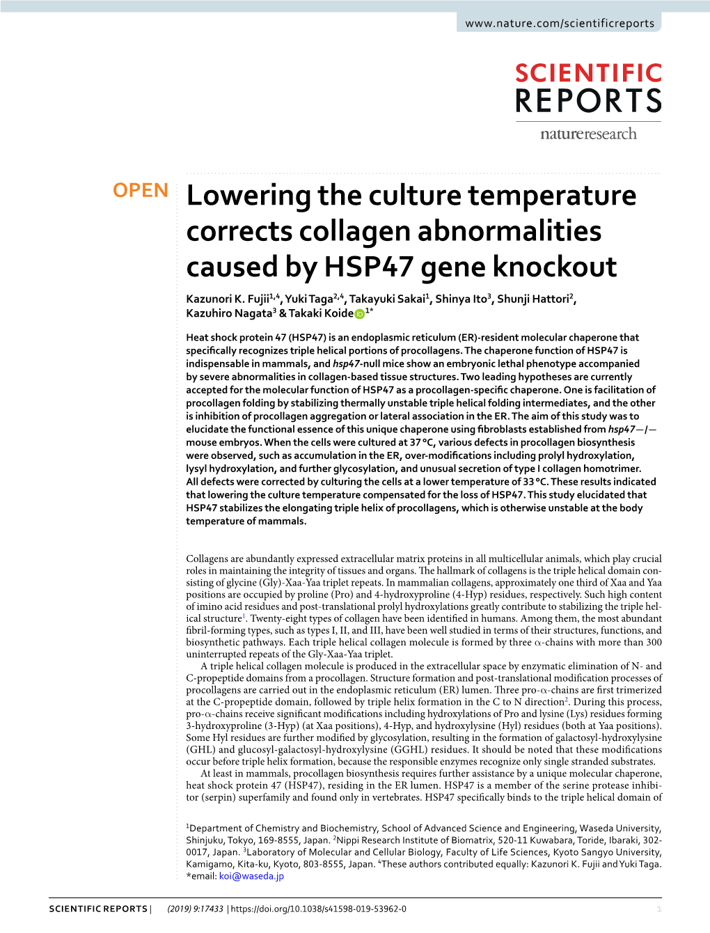 Lowering the Culture Temperature Corrects Collagen Abnormalities Caused by HSP47 Gene Knockout Kazunori K