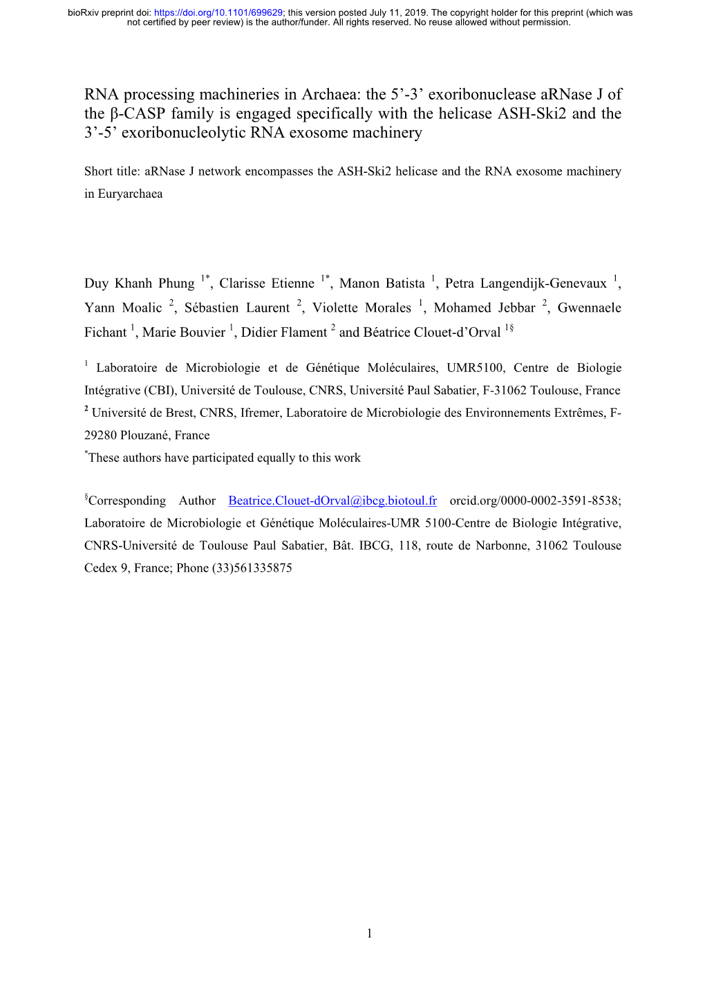 RNA Processing Machineries in Archaea: the 5