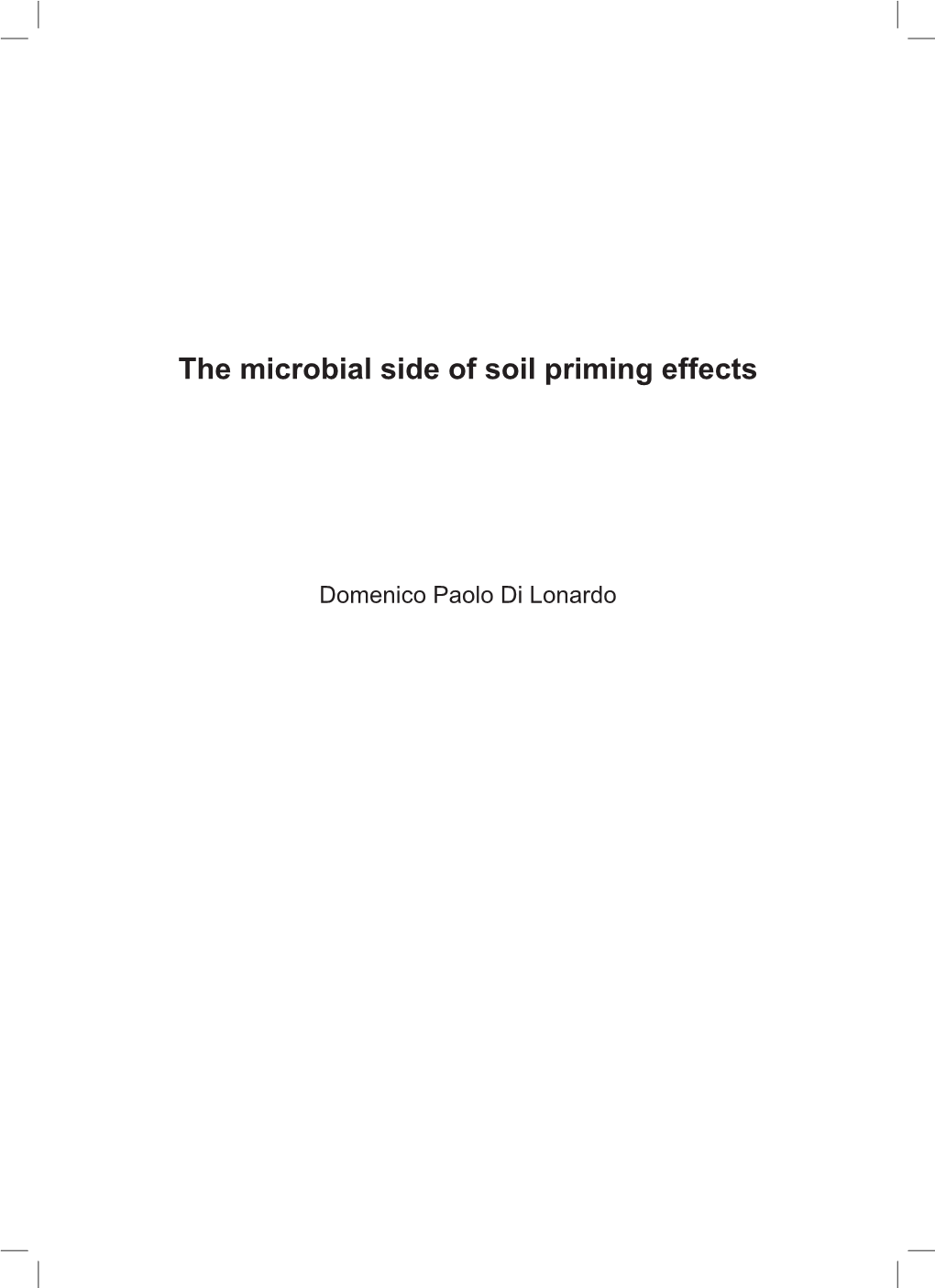 The Microbial Side of Soil Priming Effects