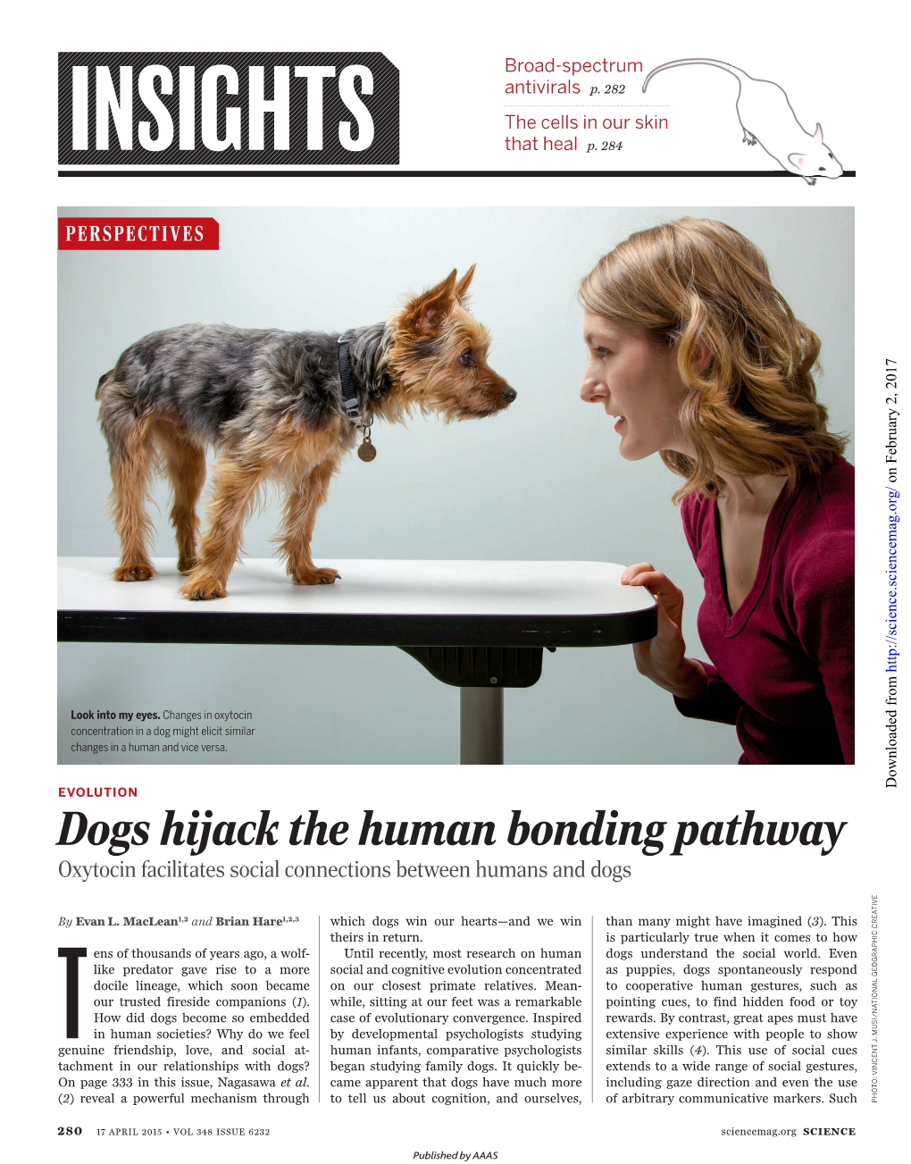 Dogs Hijack the Human Bonding Pathway Oxytocin Facilitates Social Connections Between Humans and Dogs