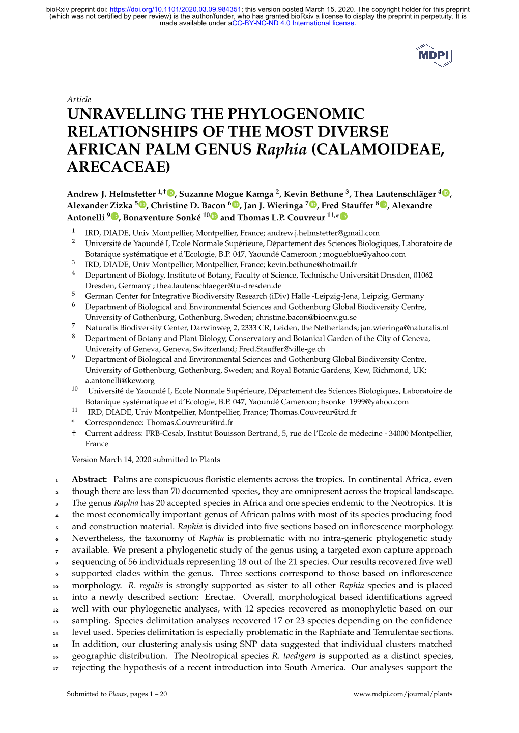 UNRAVELLING the PHYLOGENOMIC RELATIONSHIPS of the MOST DIVERSE AFRICAN PALM GENUS Raphia (CALAMOIDEAE, ARECACEAE)