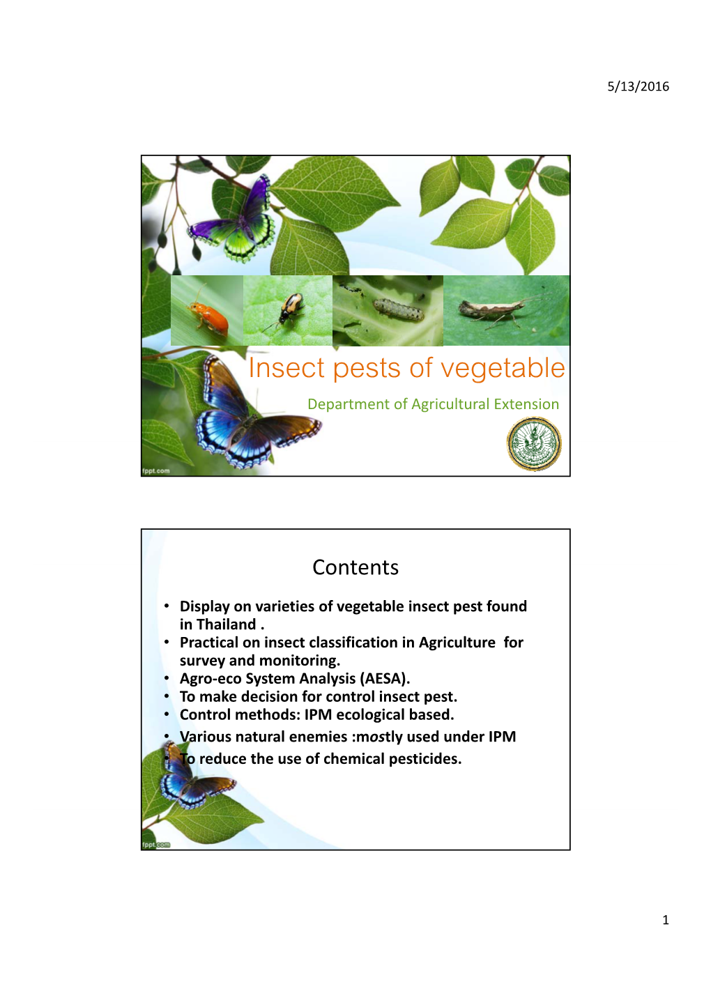 Insect Pests of Vegetable Department of Agricultural Extension