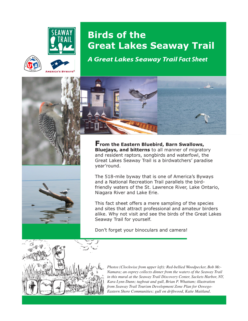 Birds of the Great Lakes Seaway Trail a Great Lakes Seaway Trail Fact Sheet