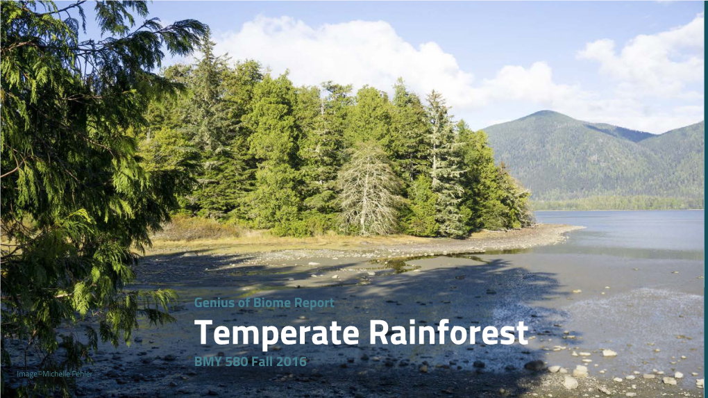 Temperate Rainforest BMY 580 Fall 2016 Image©Michelle Fehler Table of Contents Introduction What Is Biomimicry? Why Genius of Place?