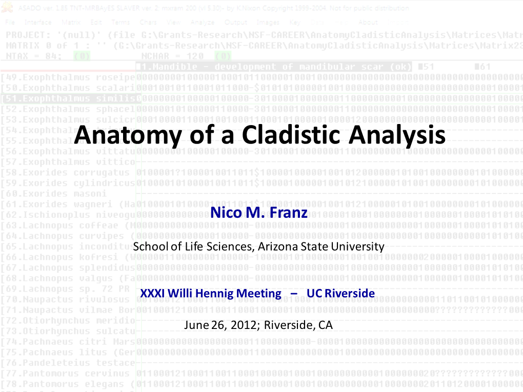 Anatomy of a Cladistic Analysis