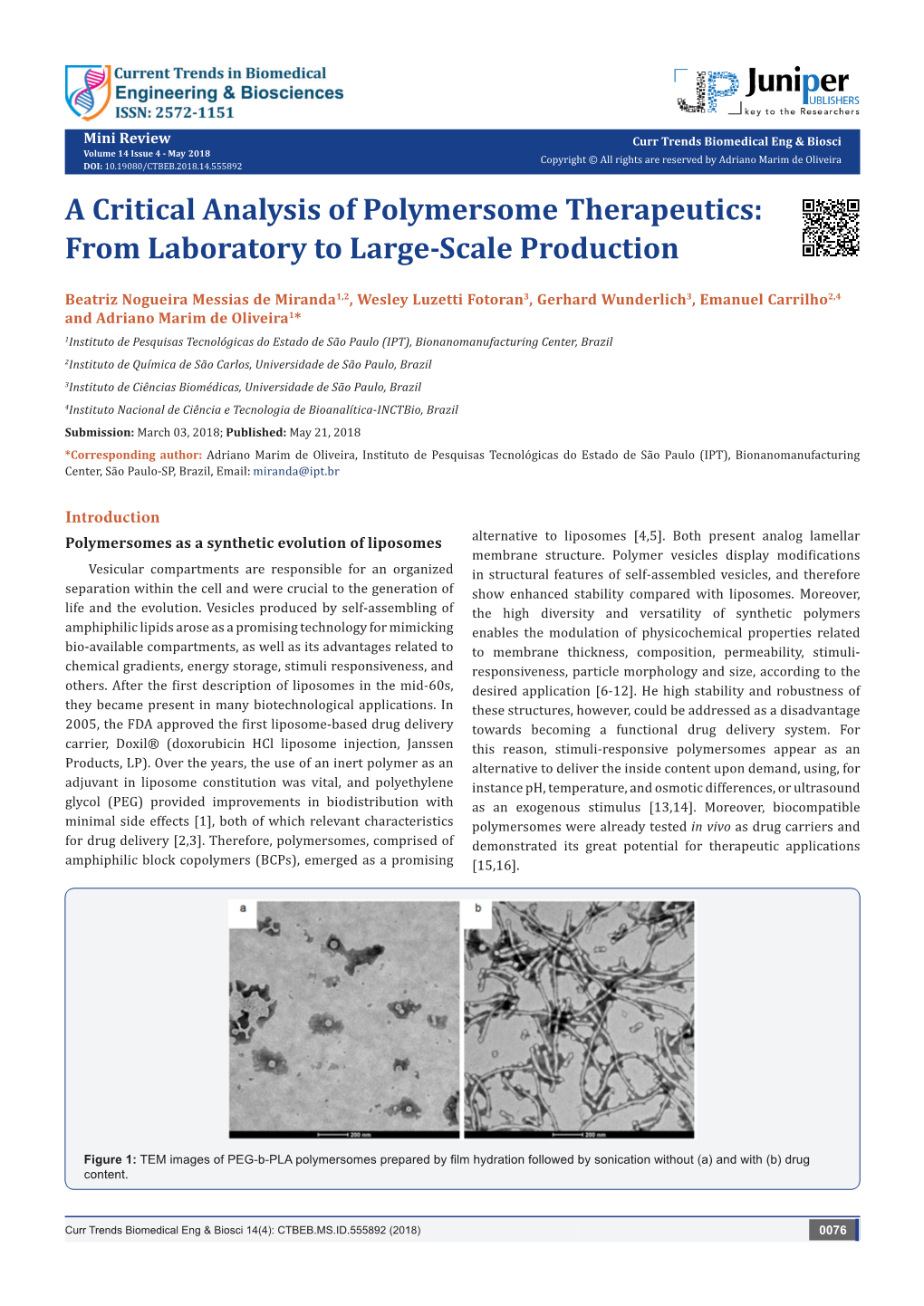 A Critical Analysis of Polymersome Therapeutics: from Laboratory to Large-Scale Production