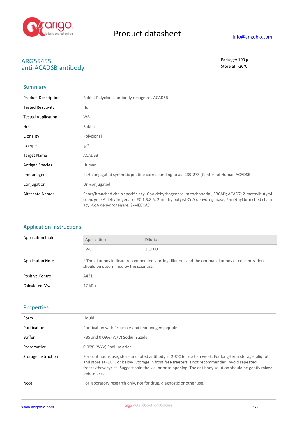 Anti-ACADSB Antibody (ARG55455)