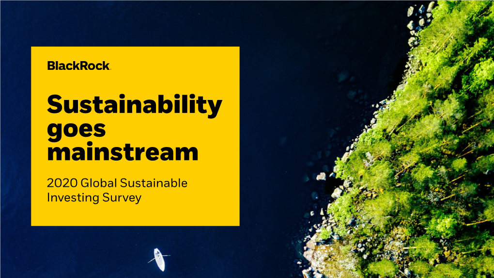 Sustainability Goes Mainstream 2020 Global Sustainable Investing Survey