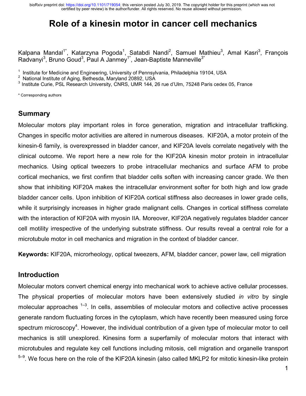 Role of a Kinesin Motor in Cancer Cell Mechanics