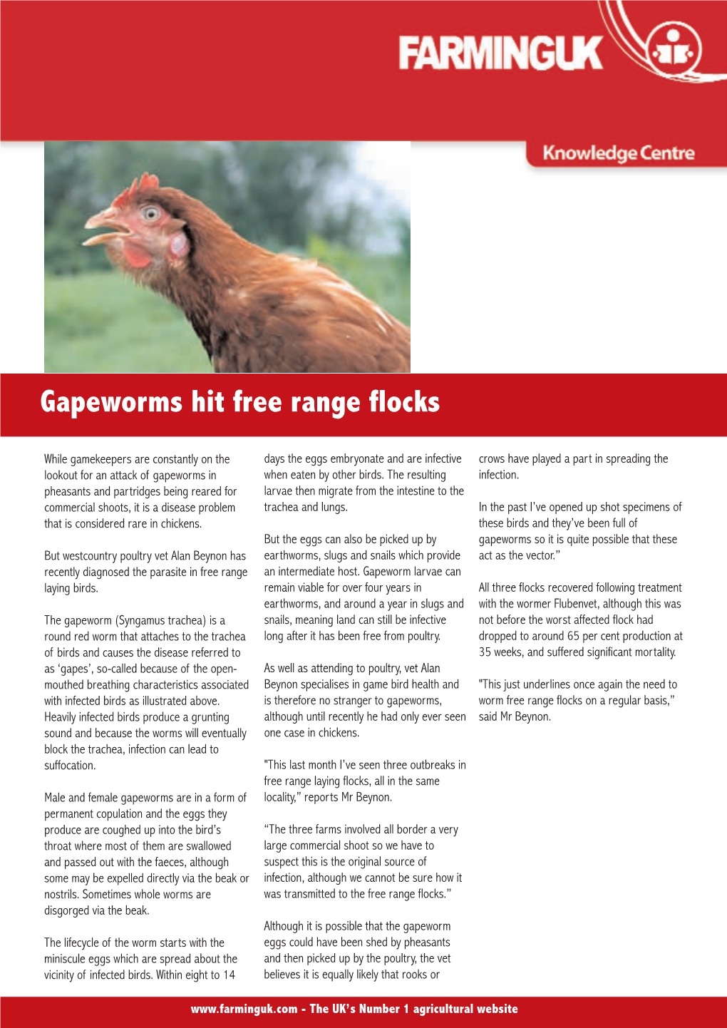 Gapeworms Hit Free Range Flocks