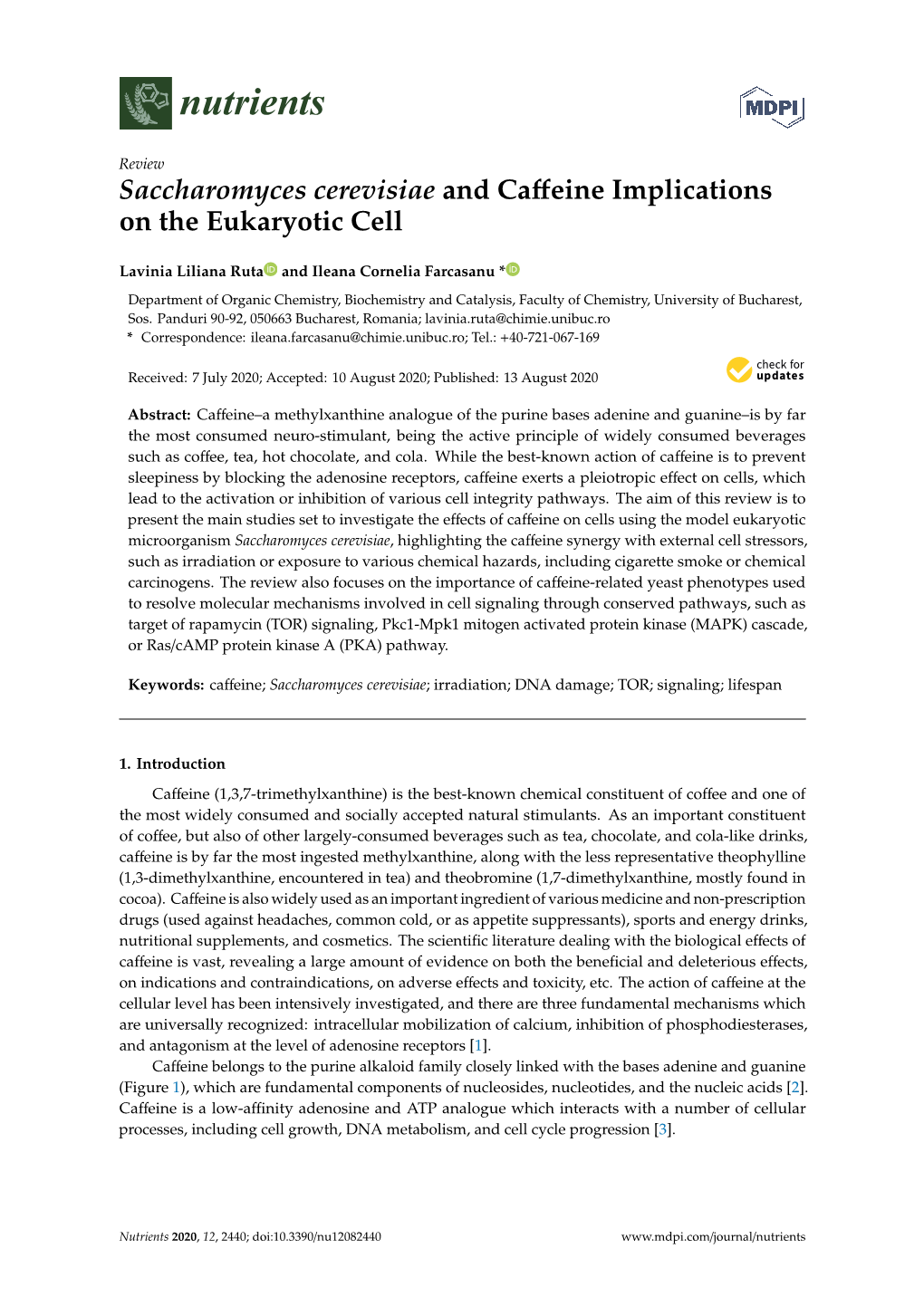 Saccharomyces Cerevisiae and Caffeine Implications on the Eukaryotic Cell