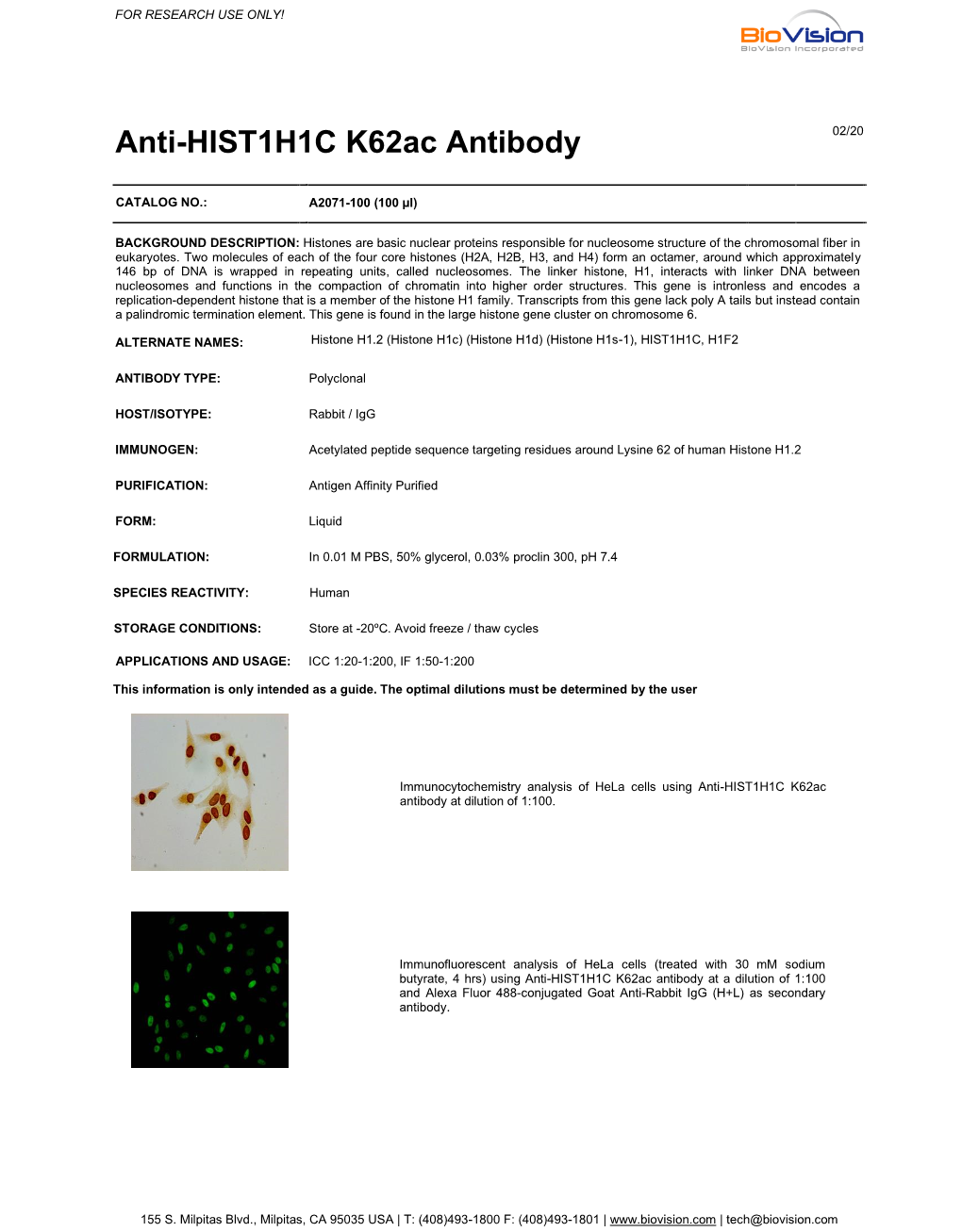 Anti-HIST1H1C K62ac Antibody