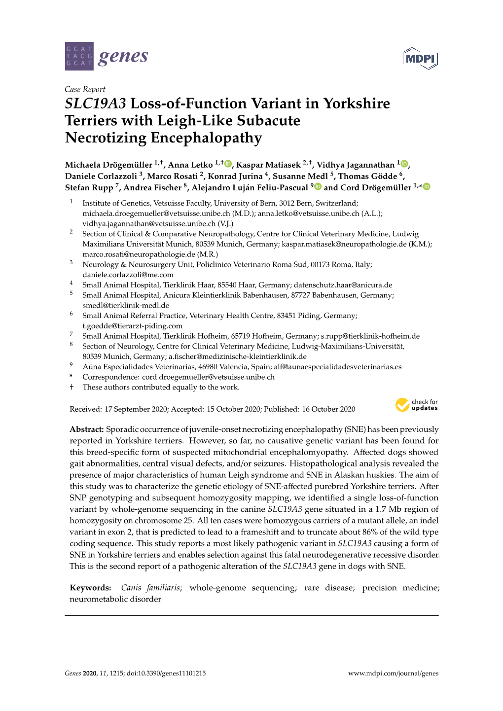 SLC19A3 Loss-Of-Function Variant in Yorkshire Terriers with Leigh-Like Subacute Necrotizing Encephalopathy