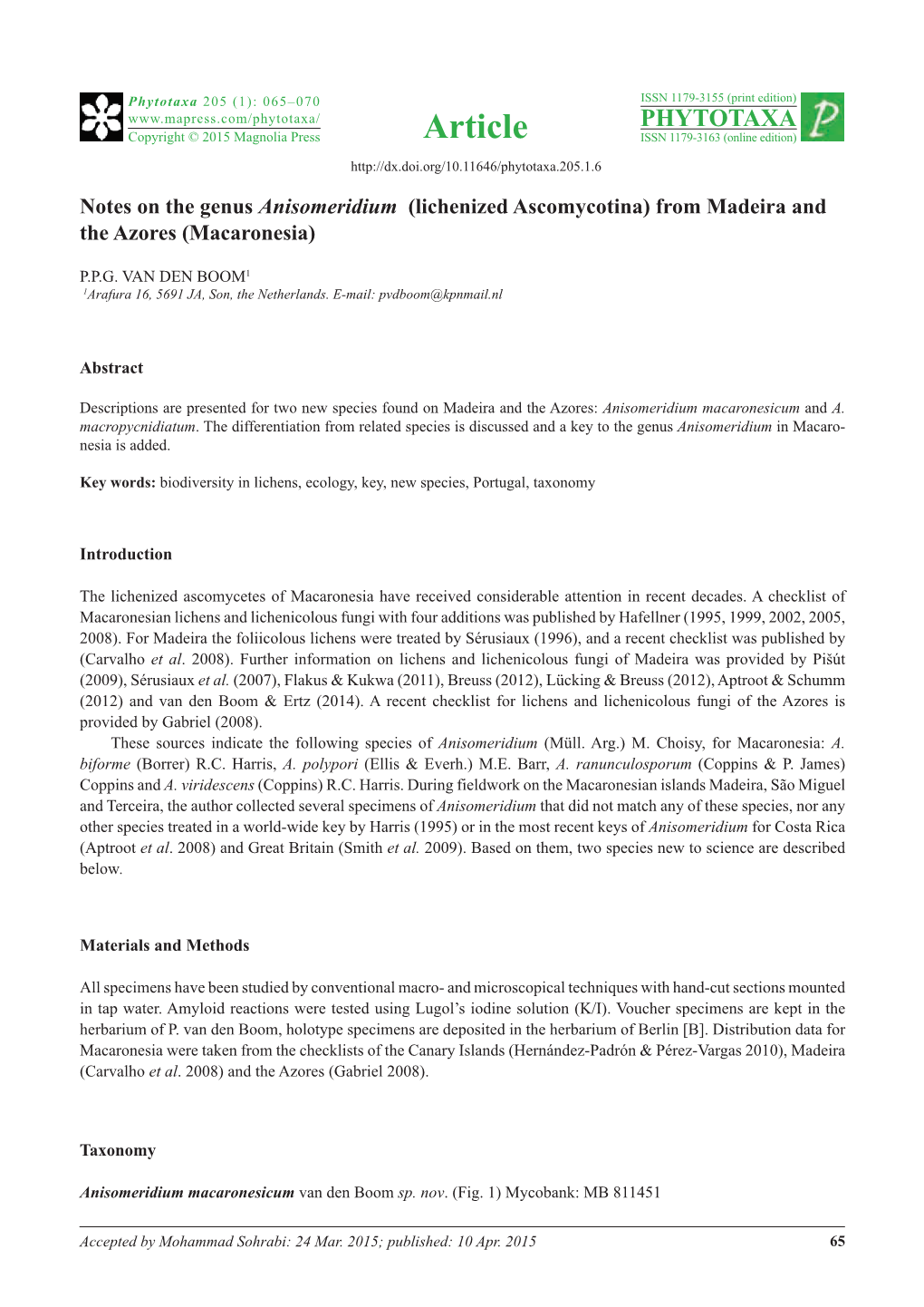 Notes on the Genus Anisomeridium (Lichenized Ascomycotina) from Madeira and the Azores (Macaronesia)