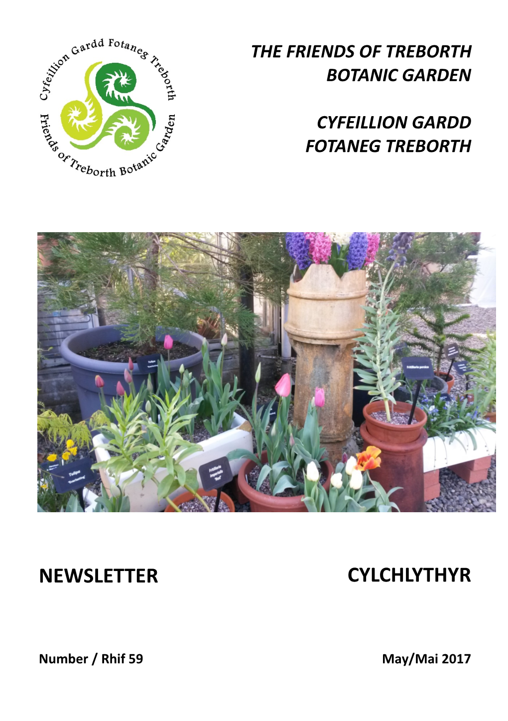 Newsletter Cylchlythyr